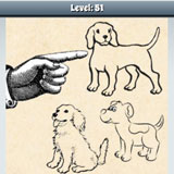 Top Dog 