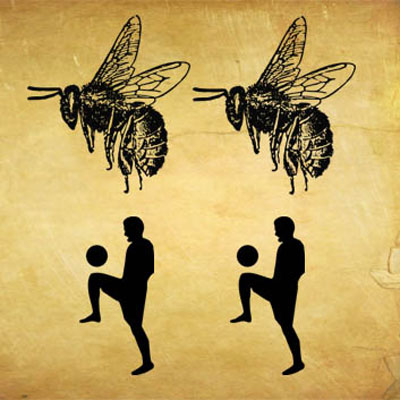 Bees Knees