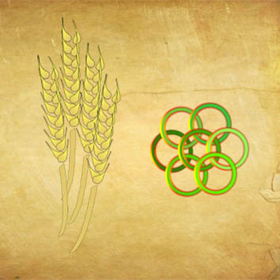 Crop Circles