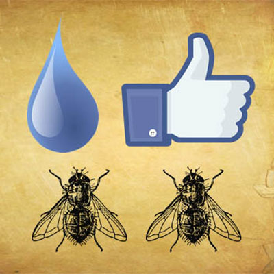 Drop Like Flies
