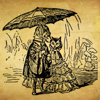 Raining Cats And Dogs