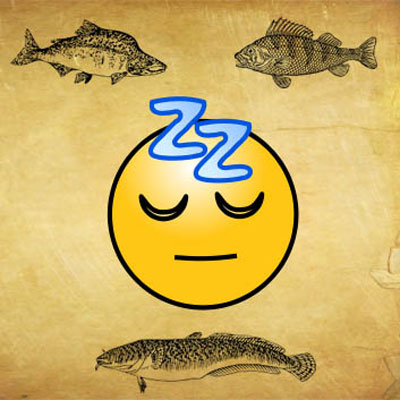 Sleeping With The Fishes