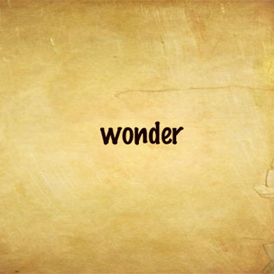 Small Wonder