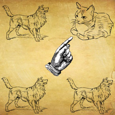 Catty Corner