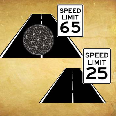 Life In The Fast Lane