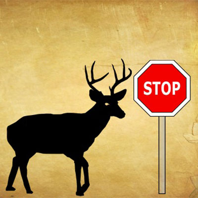 The Buck Stops Here