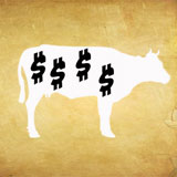  Cash Cow 
