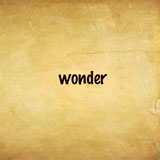  Small Wonder 