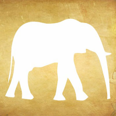 White Elephant